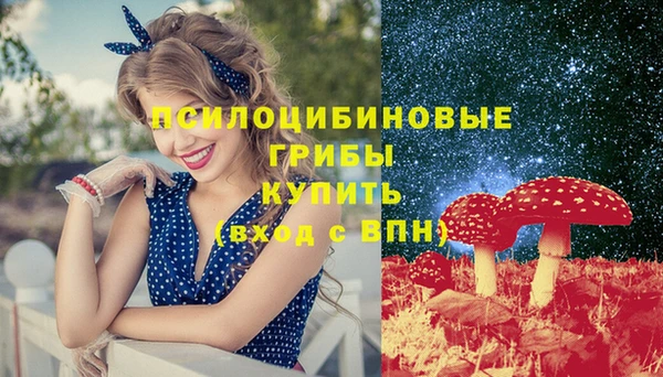 стафф Беломорск
