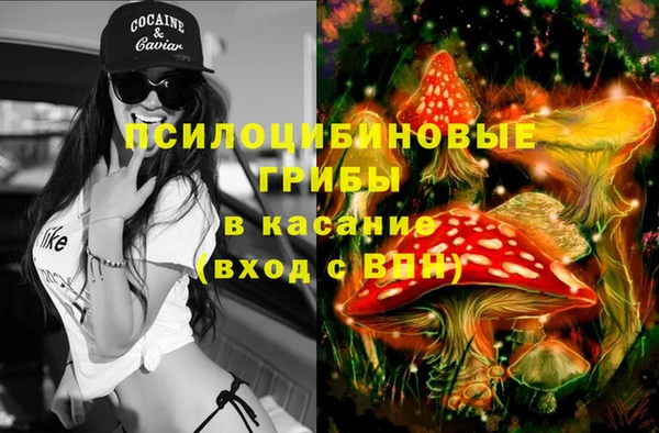 тгк Белокуриха