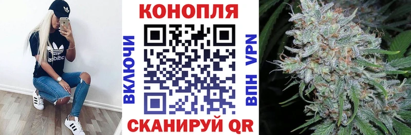 Бошки Шишки гибрид  kraken tor  Городец  даркнет сайт 